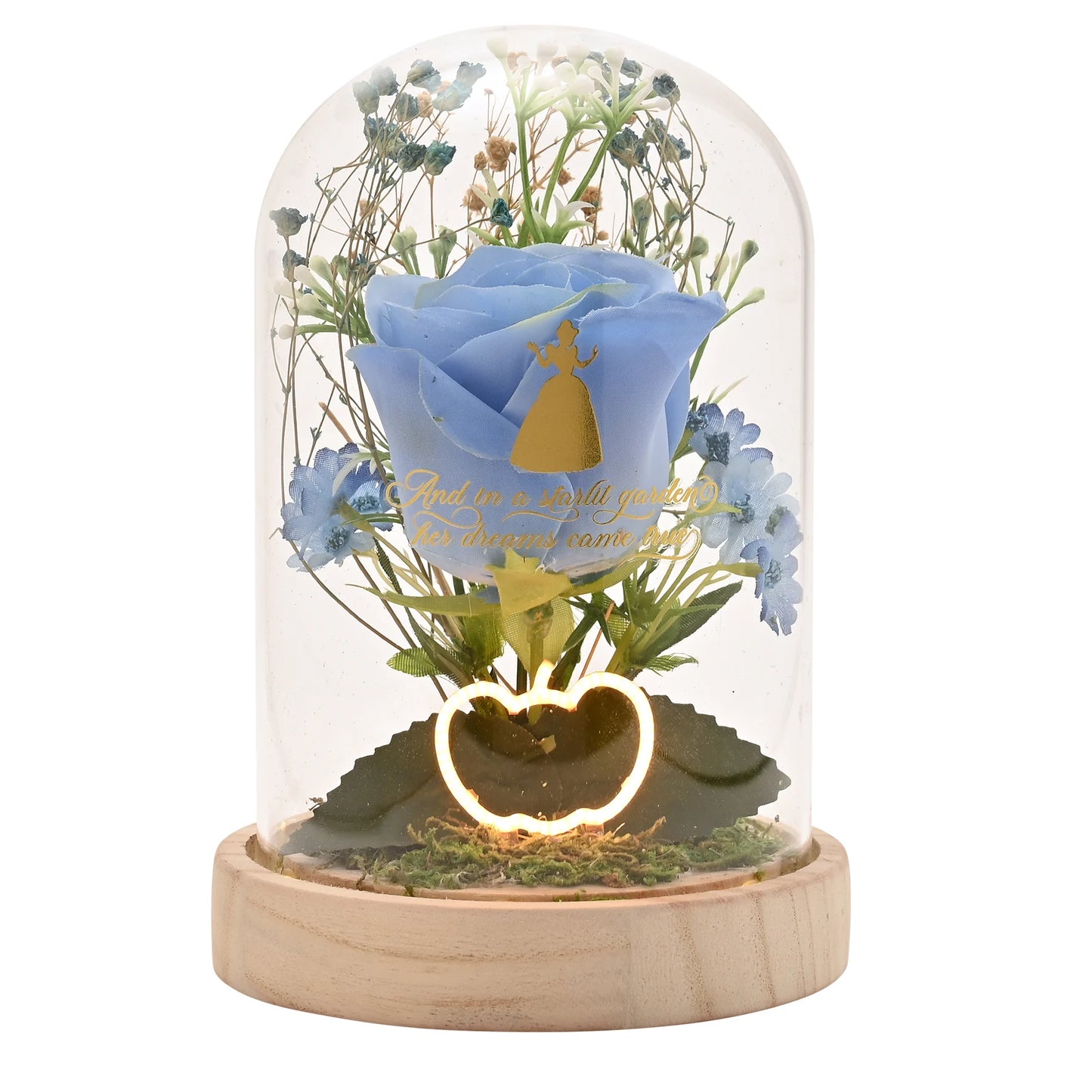 DISNEY - Cendrillon - Cloche Lumineuse Fleurs séchées