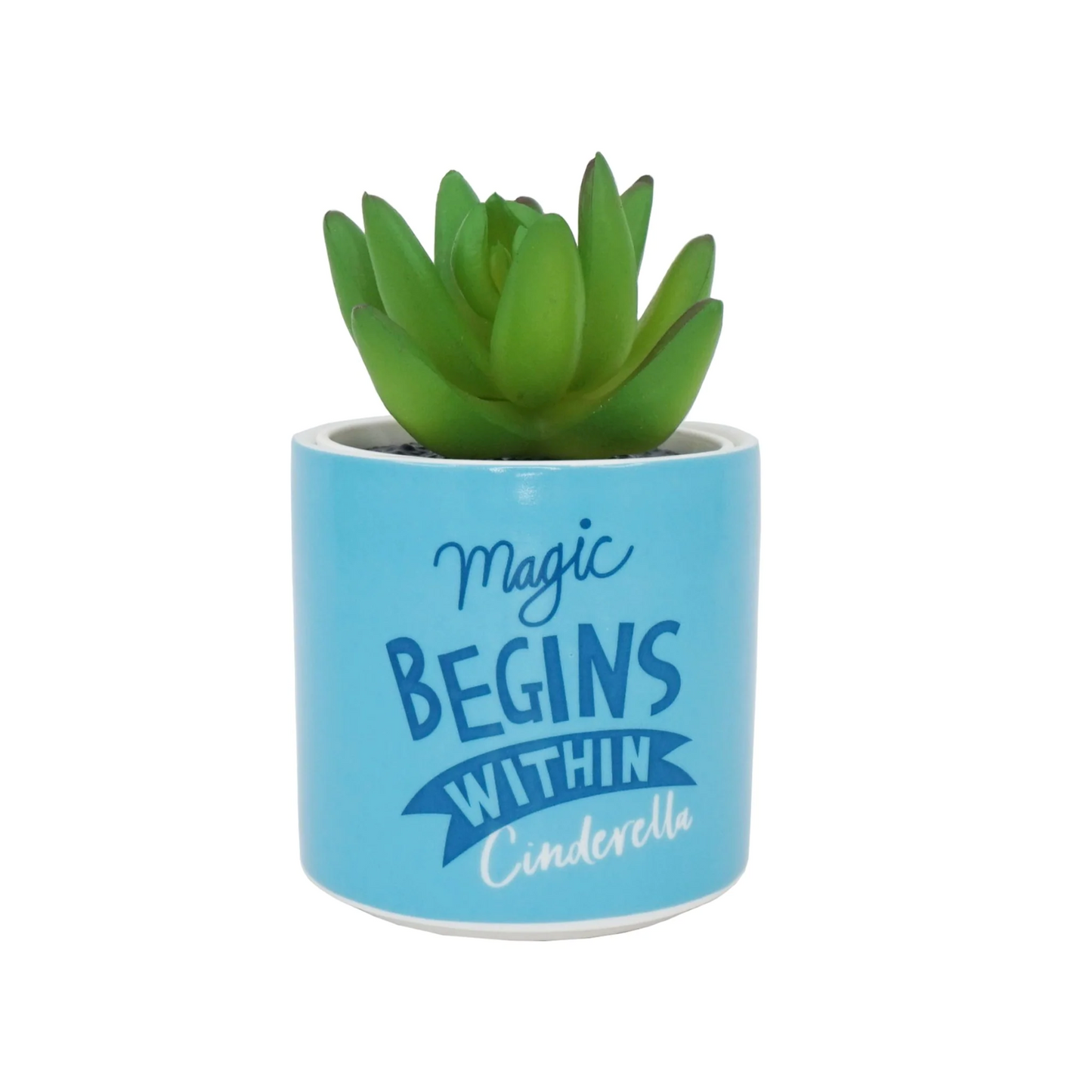 DISNEY - Cenerentola - Vaso per piante finte 6,5 cm