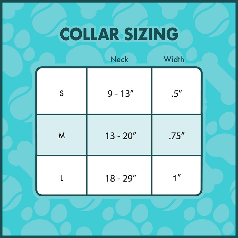 Disney - Collier Lilo & Stitch Dogs