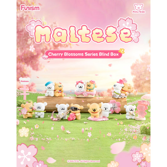 Maltese Mystery Box Cherry Blossoms