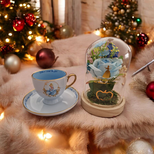 Coffret enchanté Cendrillon