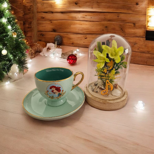 Coffret enchanté Ariel