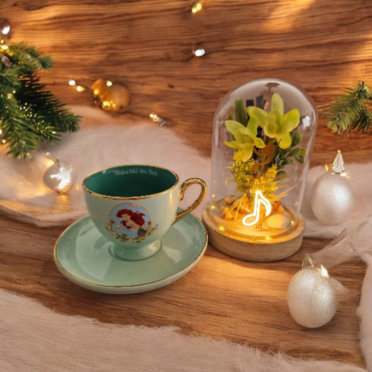 Coffret enchanté Ariel