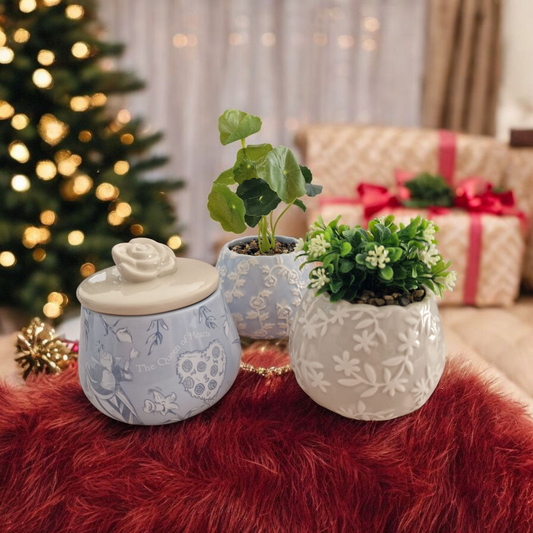 Coffret enchanté Alice au pays des Merveilles 6